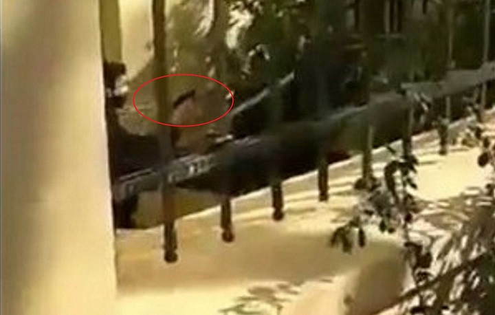  Το βίντεο ντοκουμέντο: Αστυνομικός βγάζει όπλο μέσα στην ΑΣΟΕΕ (vid)