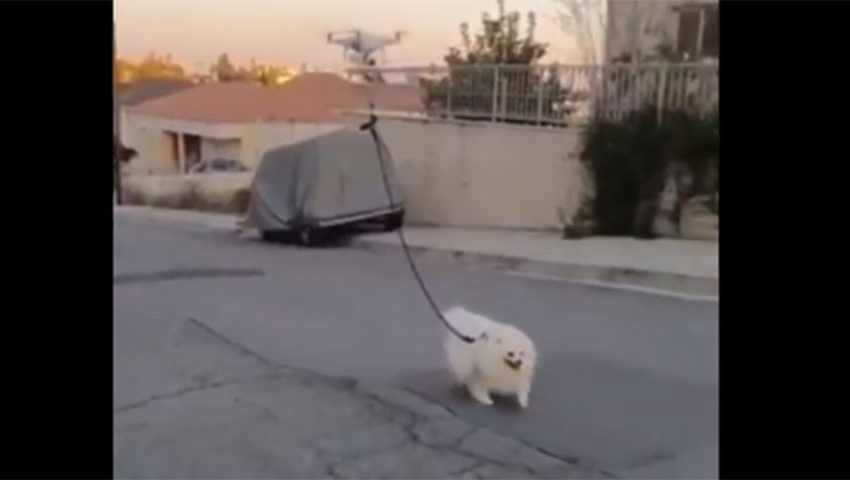  Ισραηλινός βγάζει τον σκύλο βόλτα με… drone (vid)