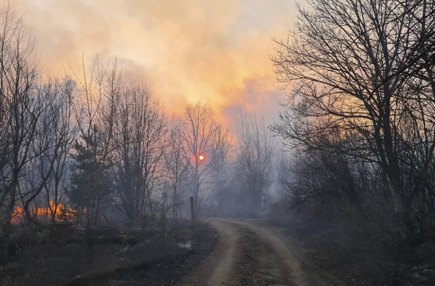  Αναζωπυρώθηκαν οι πυρκαγιές κοντά στο Τσερνόμπιλ
