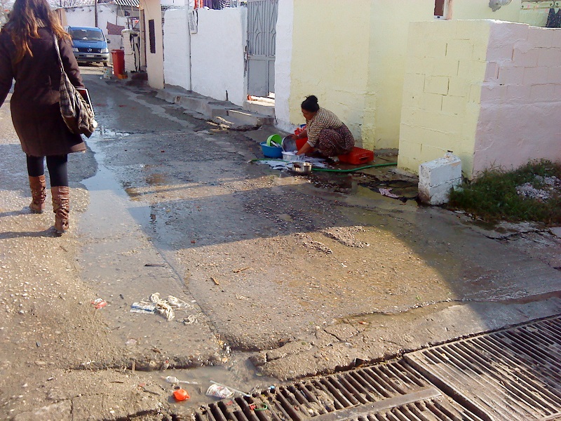 drosero metra koronaios