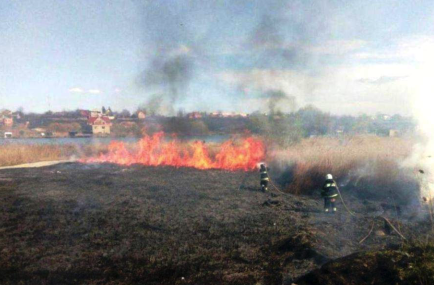  Δασική φωτιά κοντά στο Τσερνόμπιλ προκαλεί αύξηση της ραδιενέργειας (vid)