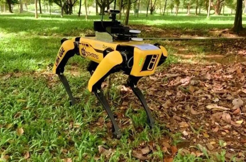  Σκύλος-ρομπότ περιπολεί πάρκο και ελέγχει τις αποστάσεις ασφαλείας (βίντεο)
