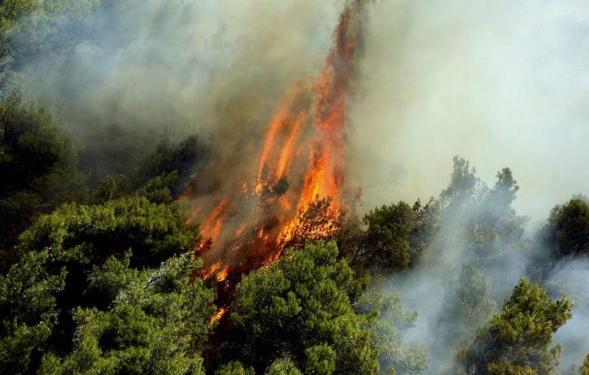  Φωτιά στα Λεχαινά Ηλείας