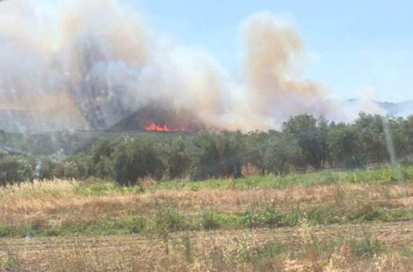  Υπό μερικό έλεγχο πυρκαγιά στην Αγία Βαρβάρα Αττικής