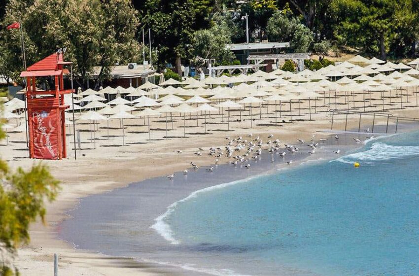  Στις παραλίες…