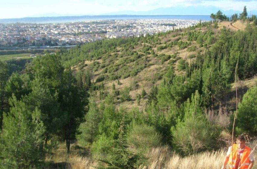  Ελεύθερη η κυκλοφορία στα δάση Σέιχ Σου και Χορτιάτη