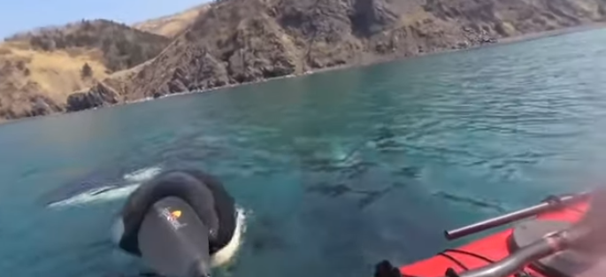 Καταγραφή 17