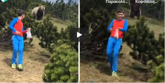  12χρονος έπεσε πάνω σε αρκούδα – Η συνέχεια είναι απίστευτη (vid)