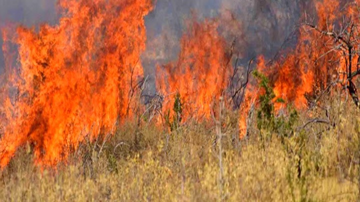  Σε εξέλιξη πυρκαγιά στα Νεόκτιστα Ασπροπύργου