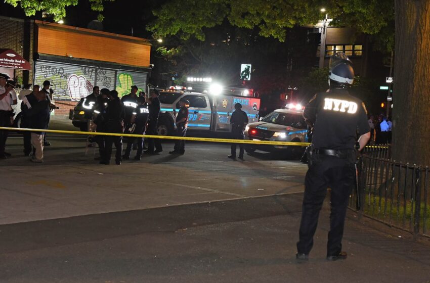  Νέα Υόρκη: Νεκρός από αστυνομικά πυρά στο Μπρούκλιν (vid)