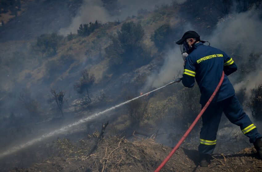  Δασική πυρκαγιά στην Εύβοια – Μεγάλη κινητοποίηση της πυροσβεστικής