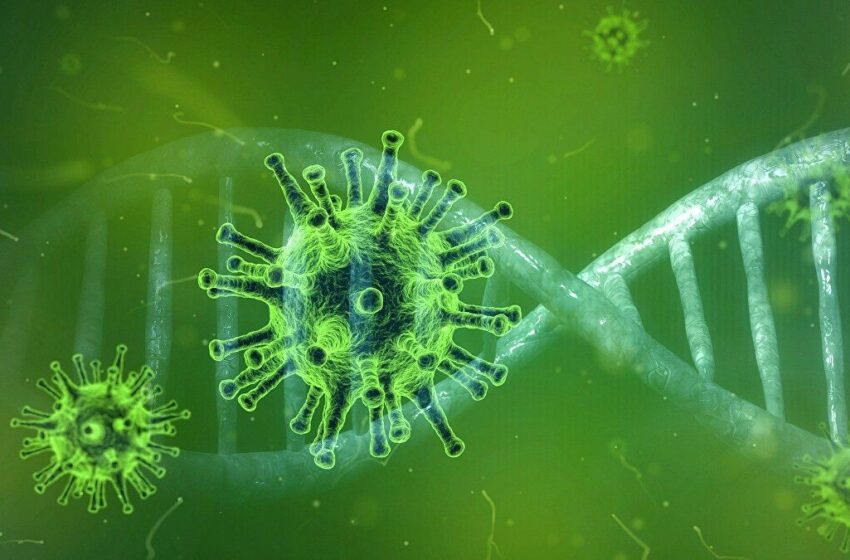 Κοροναϊός: Δεύτερη πρωτεΐνη που λειτουργεί ως “πύλη” για τη μόλυνση των κυττάρων από τον ιό
