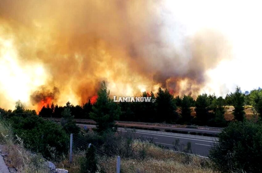  Υπό έλεγχο τέθηκε η φωτιά στο Μαρτίνο Φθιώτιδας – Άνοιξε η εθνική οδός