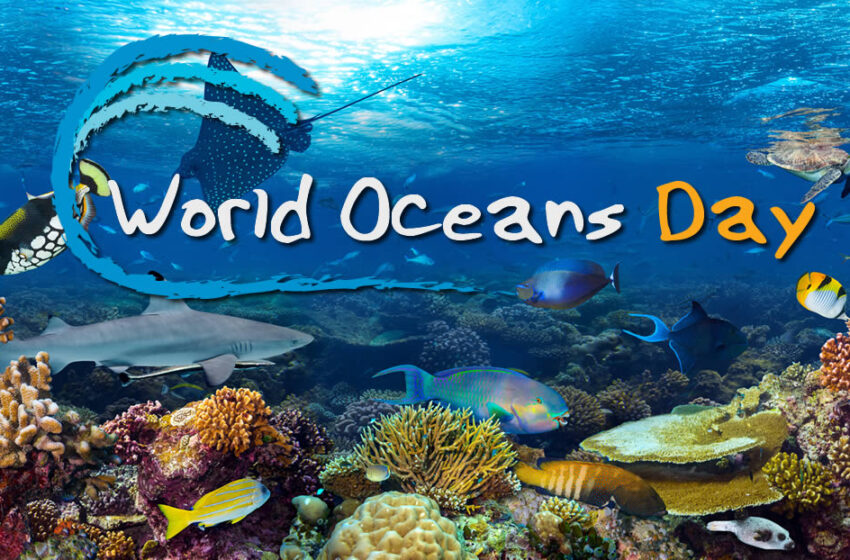  Στη φετινή Ημέρα Ωκεανών εστιάζουμε στην καινοτομία για βιώσιμους ωκεανούς