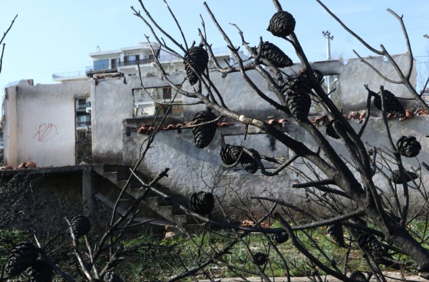  Μάτι: Σε διαβούλευση το ΕΠΣ – Επίσκεψη Χατζηδάκη στην περιοχή