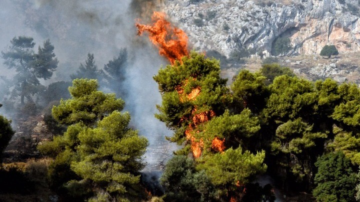  Φωτιά στη Μεσσηνία