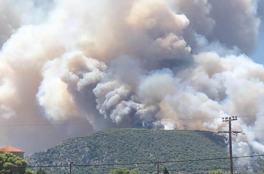  Φωτιά στις Κεχριές: Καίει ανεξέλεγκτη, εκκενώθηκαν οικισμοί (vid)