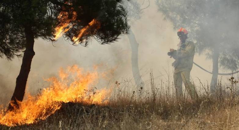  Αμαλιάδα: Φωτιά σε αγροτοδασική έκταση – Επιχειρούν 30 πυροσβέστες και δύο αεροπλάνα