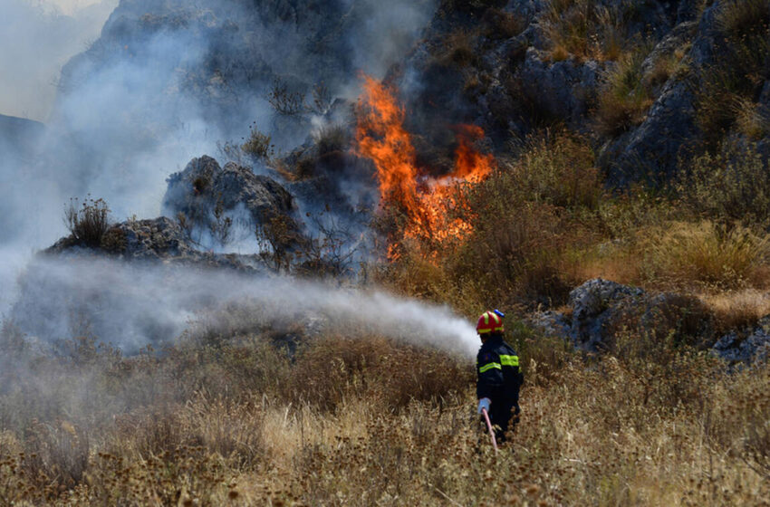  Πληροφορίες για νεκρό κοντά στην πυρκαγιά της Ηλείας