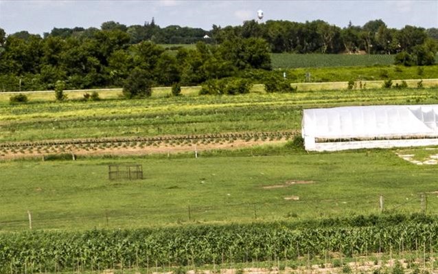  Θετικοί στον Covid-19 περισσότεροι από 70 εργάτες σε αγρόκτημα στην Αγγλία