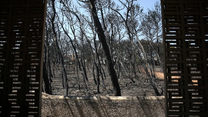  Δικαίωμα να προσληφθούν στο δημόσιο για τους βαριά εγκαυματίες στο Μάτι