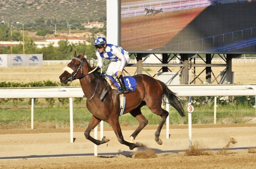  Markopoulo Park: Τρία τζακ ποτ σε ΣΚΟΡ 6, ΣΚΟΡ 4 και Σύνθετο Δίδυμο