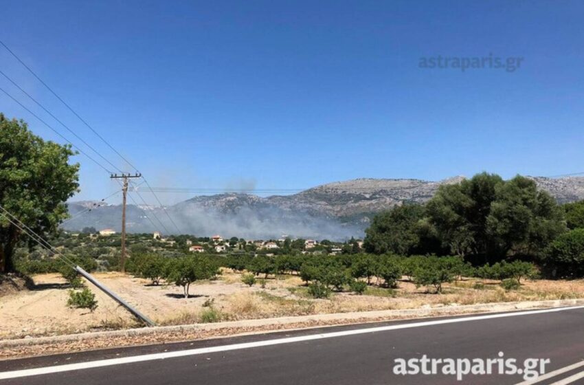  Φωτιά στη Χίο – Μεγάλη κινητοποίηση της πυροσβεστικής