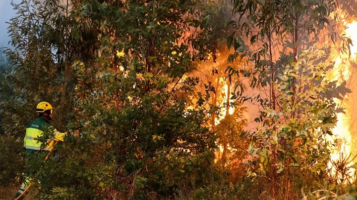  Πολύ υψηλός κίνδυνος πυρκαγιάς σε πέντε Περιφέρειες της χώρας – Συστάσεις της Πολιτικής Προστασίας προς τους πολίτες