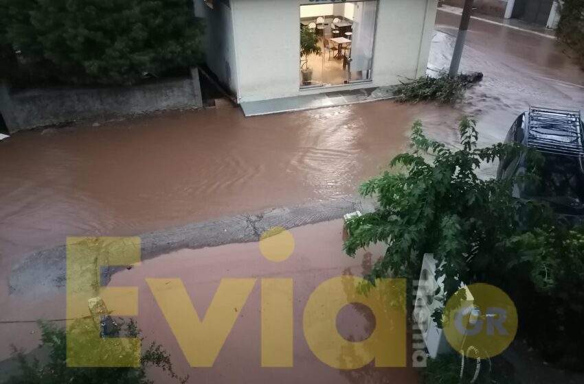  Το σκίτσο του Αρκά για την τραγωδία στην Εύβοια (εικόνα)