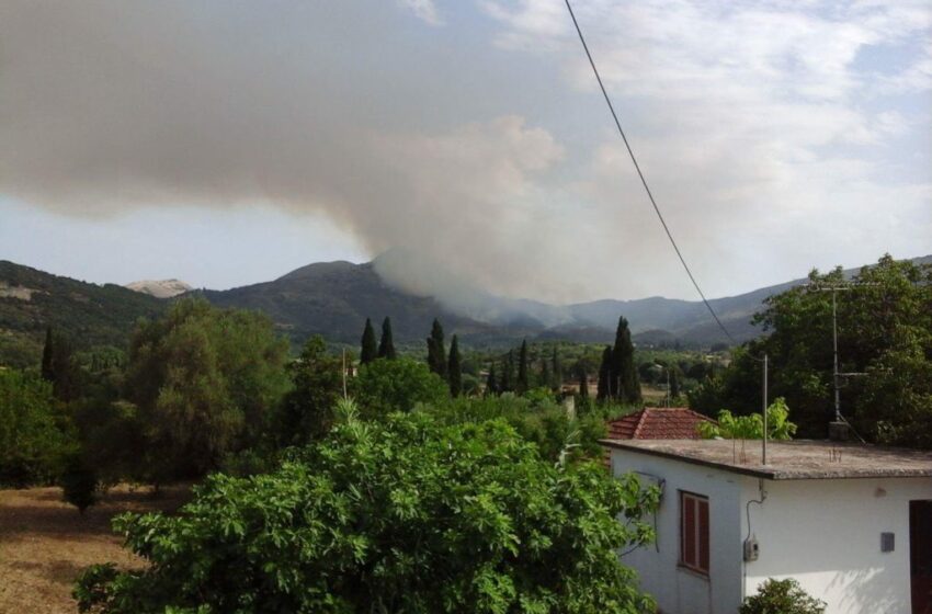  Νέα φωτιά στο Αργοστόλι στην Κεφαλλονιά