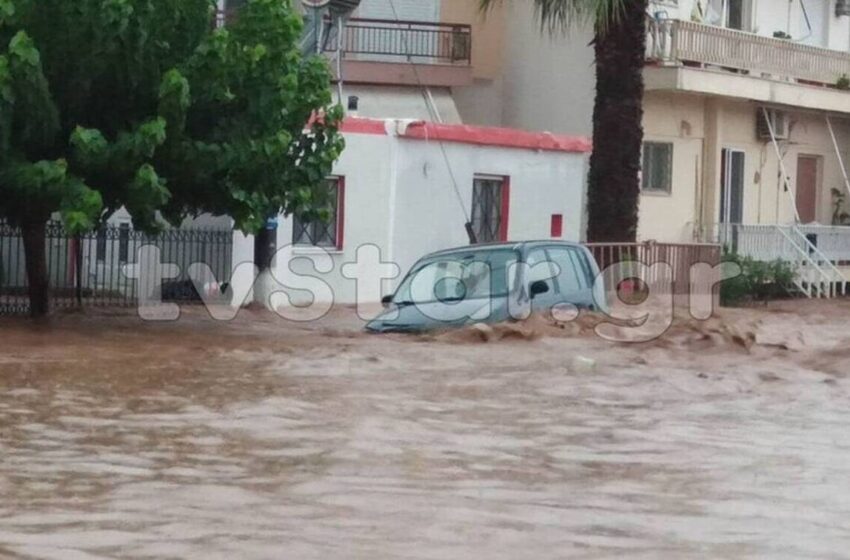  Λέκκας για την Εύβοια: Αυτά είναι τα αίτια για τη μεγάλη καταστροφή