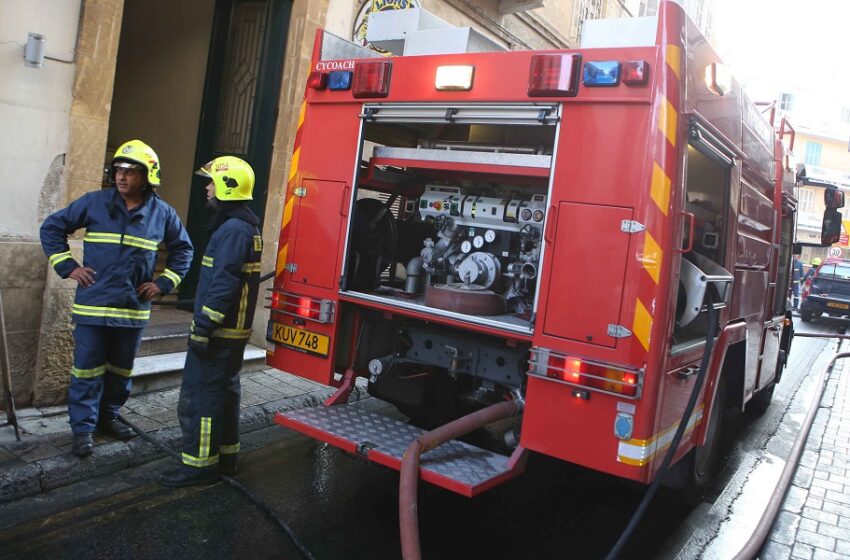  Κρήτη: Έπαθαν σοκ με αυτό που είδαν στην αυλή τους (εικόνες)