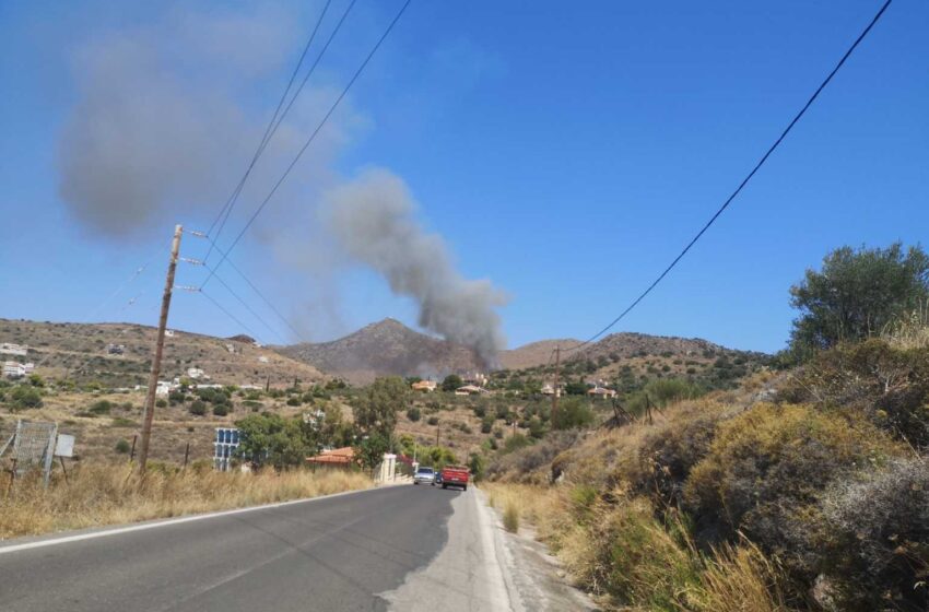  Φωτιά καίει δασική έκταση στην Αίγινα