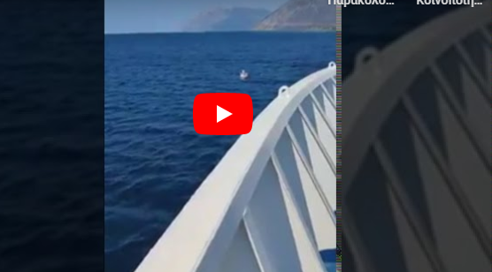  Είχε Άγιο: Παιδί τριών ετών παρασύρθηκε από το ρεύμα και το έσωσε Ferry boat (συγκλονιστικό βίντεο)