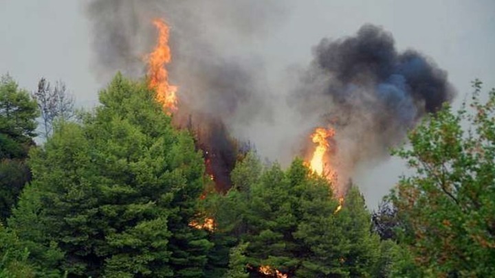  Πυρκαγιά μήκους 20 χιλιομέτρων σε Λεμεσό και Πάφο