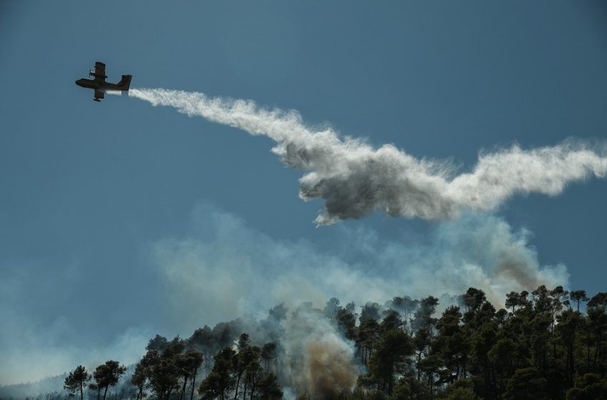  Αμαλιάδα:Τι προβληματίζει την Πυροσβεστική για την φωτιά