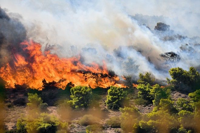  Κερατέα: Δραματική η κατάσταση – Κάηκαν σπίτια, εκκενώθηκαν οικισμοί και η Ανάβυσσος