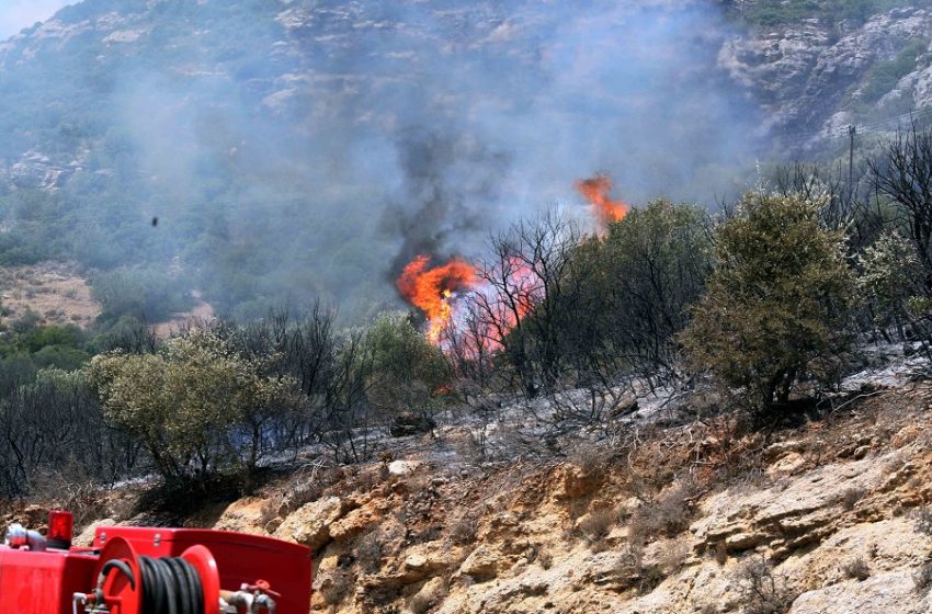  Φωτιές σε Ηλεία και Λακωνία