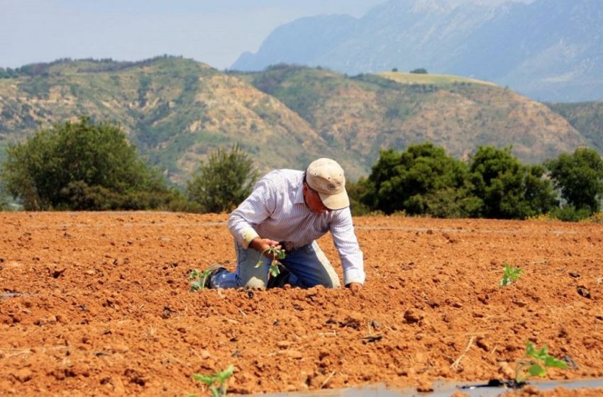  Ο πρωτογενής τομέας στο σήμερα