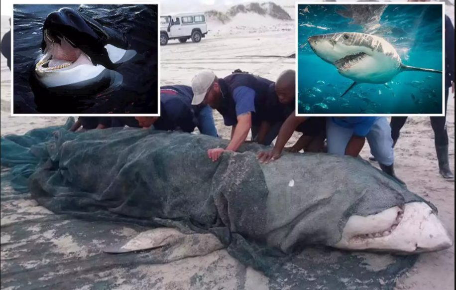 Καταγραφή1 3 6