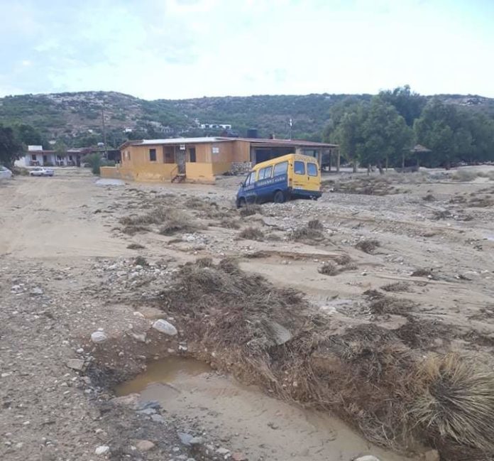 γαύδος ιανός