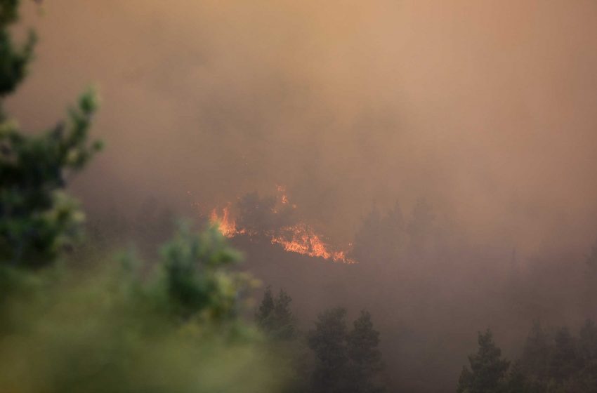  Λαυρεωτική: Υπό μερικό έλεγχο η πυρκαγιά στην περιοχή Βρομωπούσι