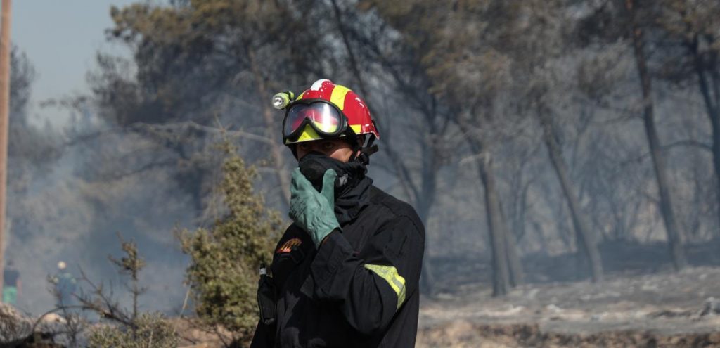 δασική πυρκαγιά φωτιά