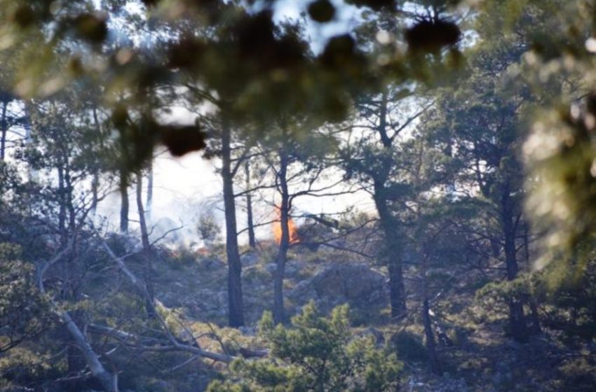  Πυρκαγιά σε δασική έκταση στην Εύβοια