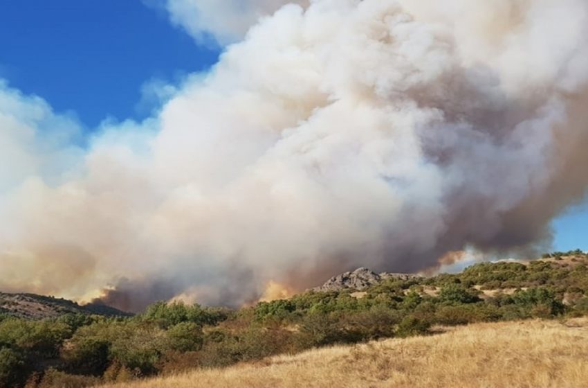  Κίνδυνος οικολογικής καταστροφής: Στις φλόγες το δάσος της Δαδιάς (vid)