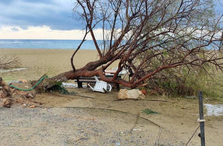  Σάρωσε την Κρήτη η “Ψυχρή λίμνη” – Ανυπολόγιστη η καταστροφή στην ελαιοπαραγωγή (vid)