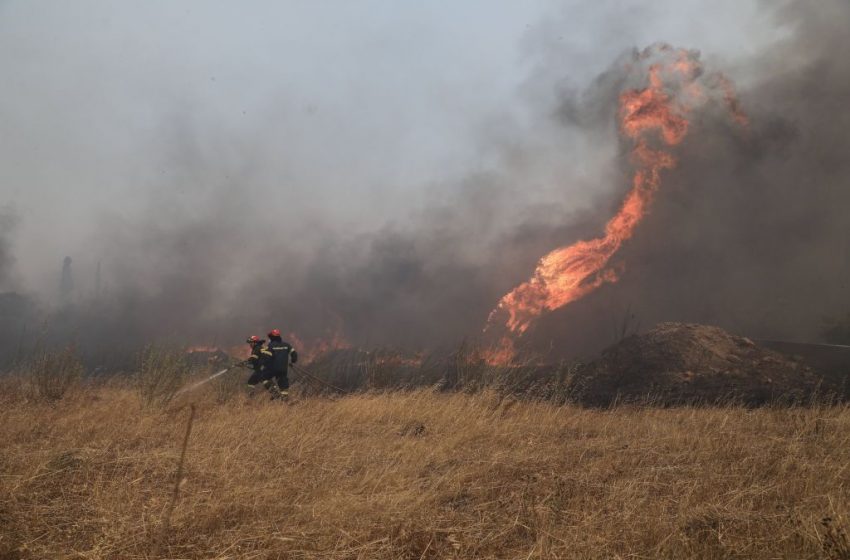  Φωτιά τώρα στην Ηλεία – Ισχυρές πυροσβεστικές δυνάμεις