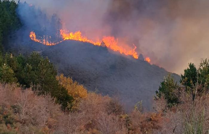  Μεγάλη φωτιά στον Άγιο Πέτρο Κυνουρίας