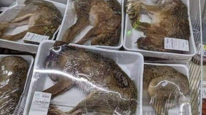  Αποτρόπαιο θέαμα στη Γαλλία, προκαλεί οργή – Πουλούσαν ολόκληρα νεκρά ζώα με τη γούνα τους (εικόνες)