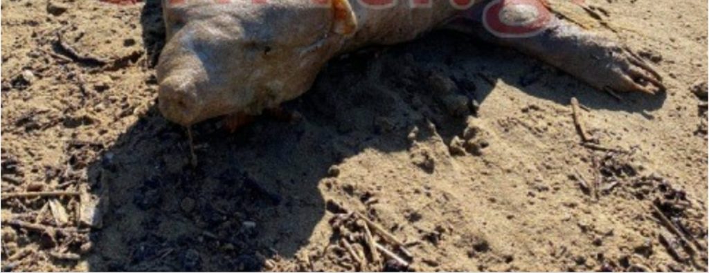 Καταγραφή 2 4